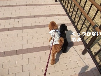 DSCF5497.jpg