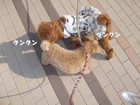DSCF5527.jpg
