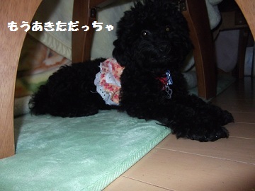DSCF5556.jpg