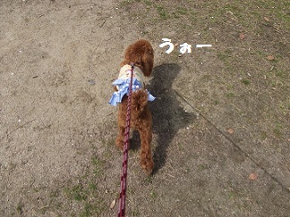 DSCF5647.jpg