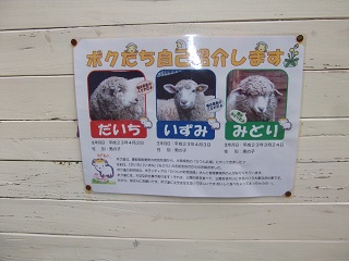 DSCF5660.jpg