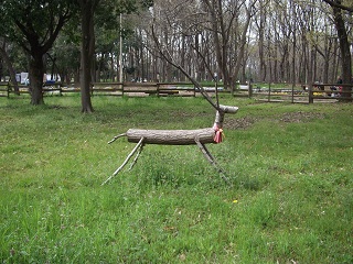 DSCF5673.jpg