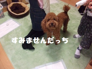 DSCF5749.jpg