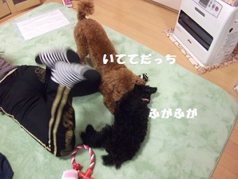 DSCF5766.jpg