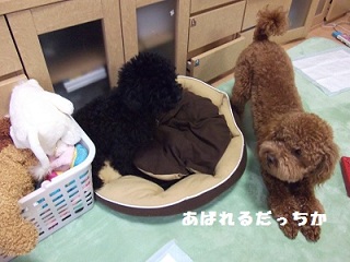 DSCF5770.jpg