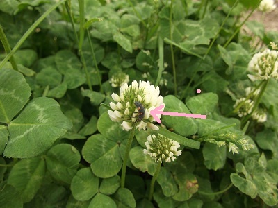 DSCF6137.jpg