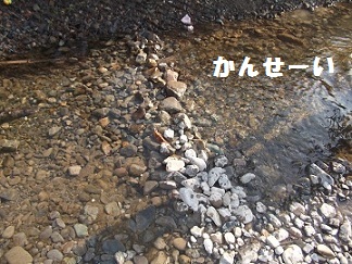 DSCF6175.jpg