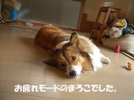 otu