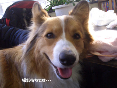 satsu0