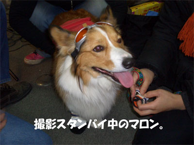 satsu1
