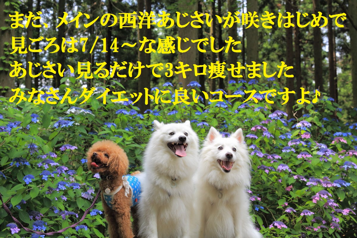 14_20130715125655.jpg