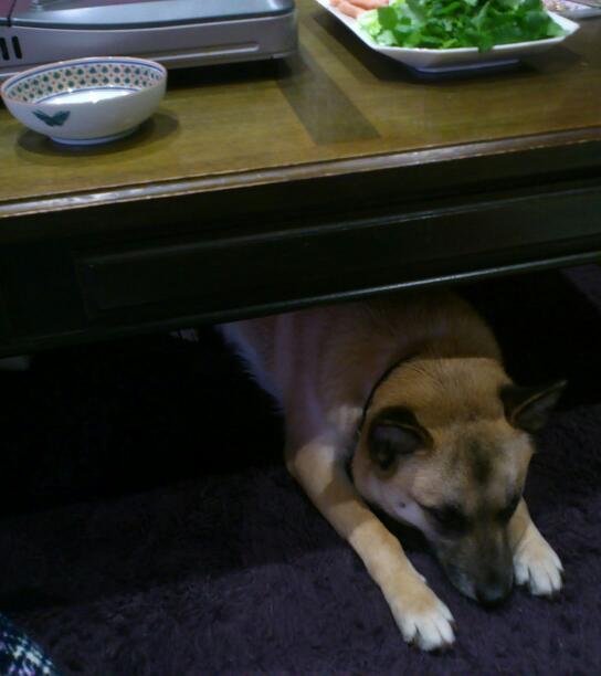 20130208-1.jpg