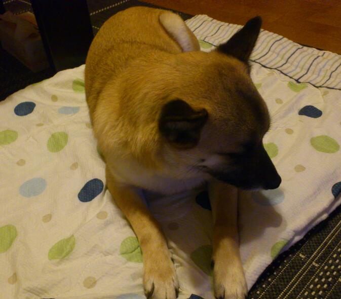 20130209-2.jpg