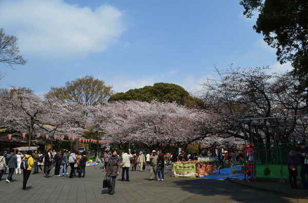 DSC_0015.jpg