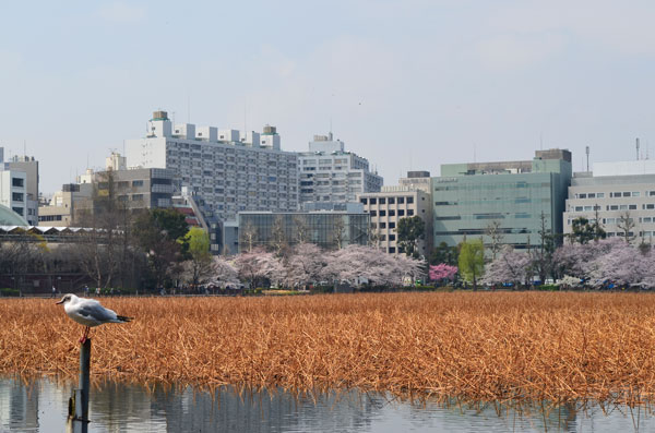DSC_0025.jpg