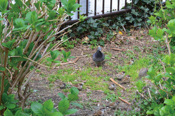 DSC_0027.jpg