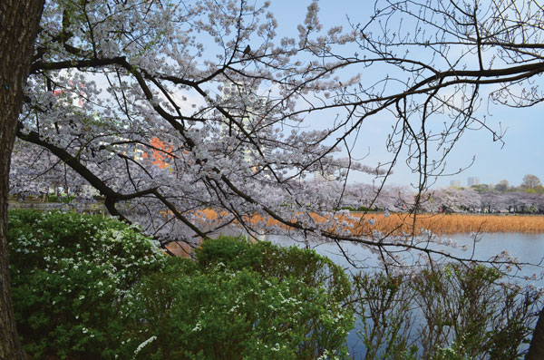 DSC_0035.jpg