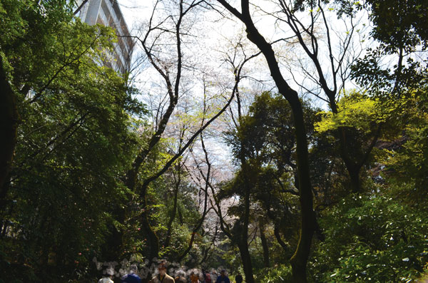 DSC_0044.jpg