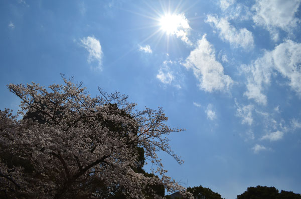 DSC_0070.jpg