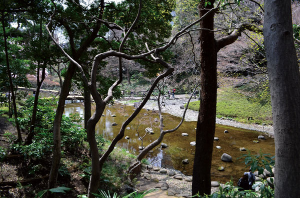 DSC_0084.jpg