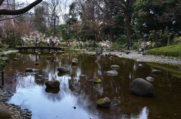 DSC_0087.jpg