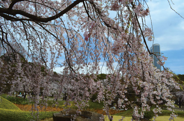 DSC_0097.jpg