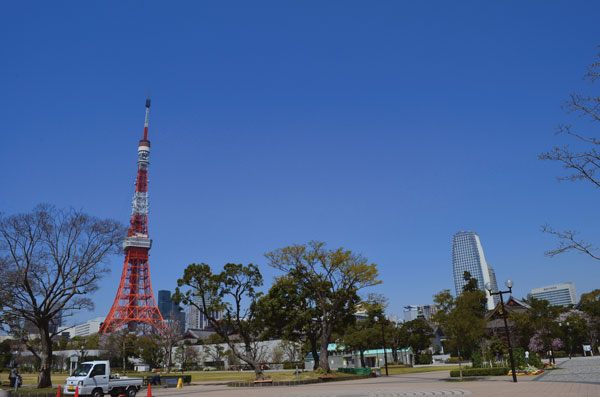 DSC_0108.jpg