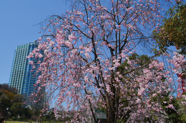 DSC_0112.jpg