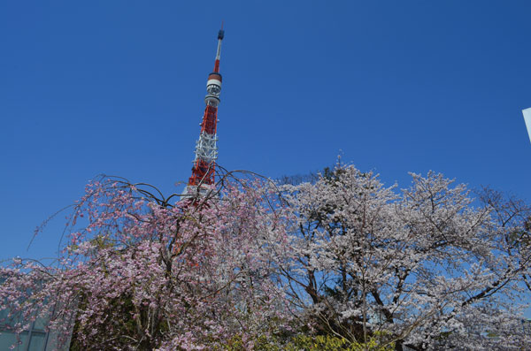 DSC_0134.jpg