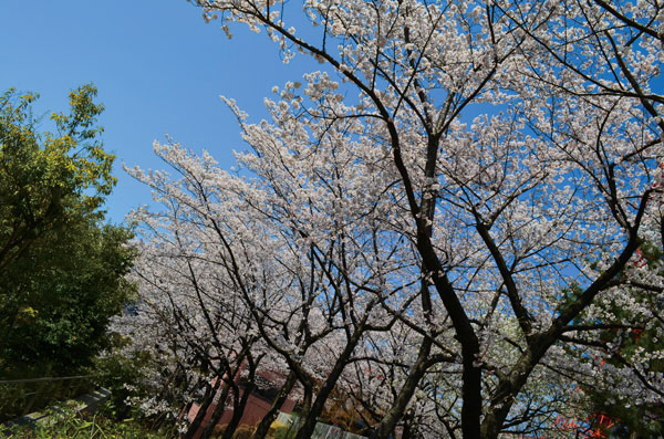 DSC_0141.jpg