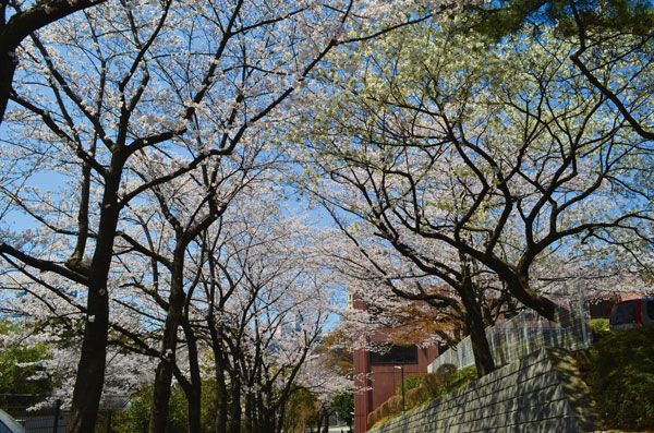 DSC_0144.jpg