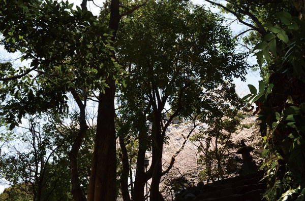 DSC_0154.jpg