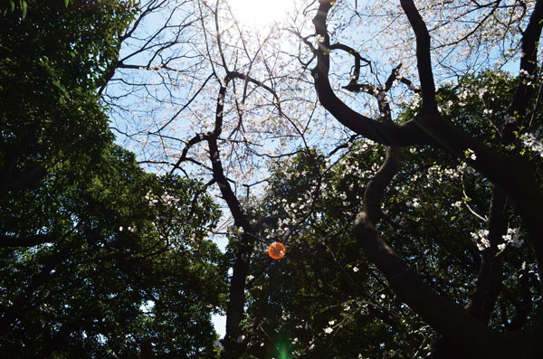 DSC_0162.jpg