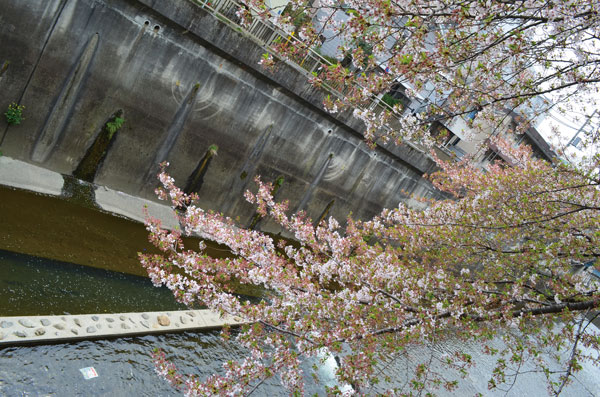 DSC_0190.jpg