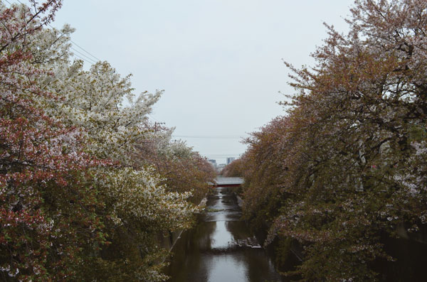 DSC_0218.jpg
