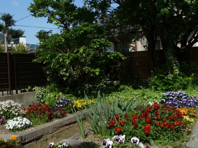 2-P1190137.jpg