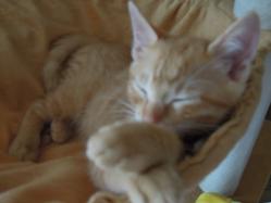 DSCN0101.jpg