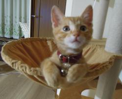 DSCN0108.jpg