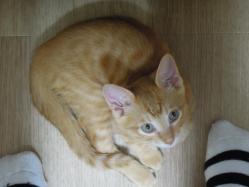 ここにいるからね?