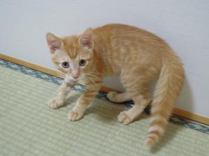 ブワッ