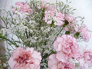 s-P1080798.jpg