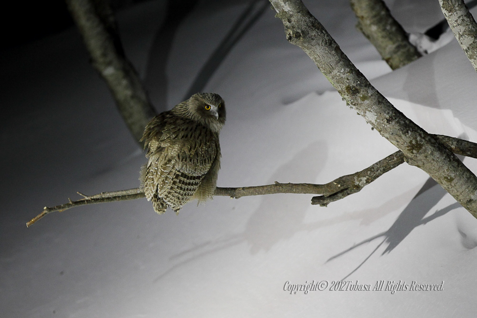 20120222-C56C59682012-02-25.jpg