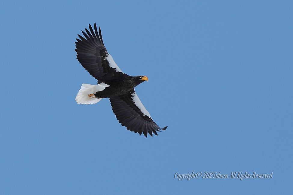 20120224-C56C73122012-02-28.jpg