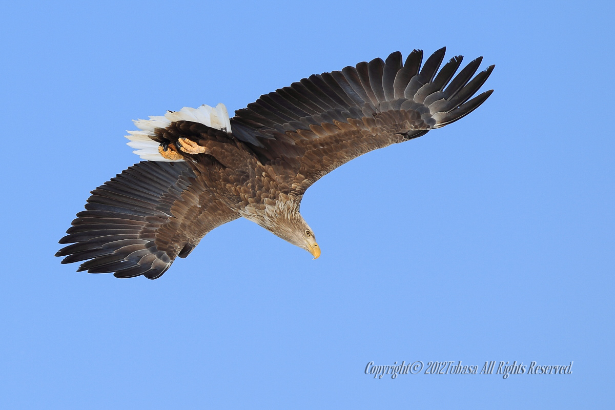 20120224-C56C69282012-03-08