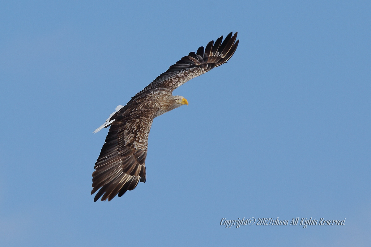 20120224-C56C71072012-03-08-2