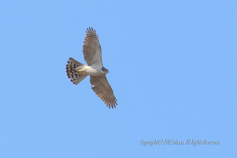 20120328-C56C79892012-03-28