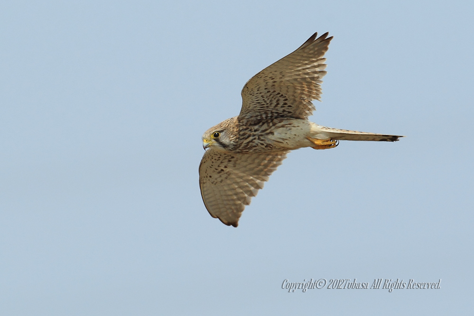 20120328-C56C79412012-03-28