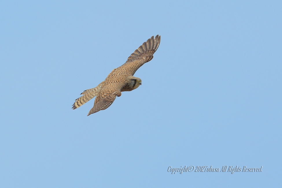 20120328-C56C79482012-03-28