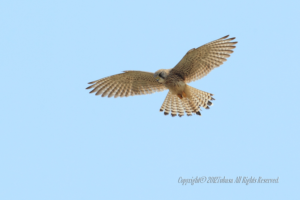 20120328-C56C79622012-03-28