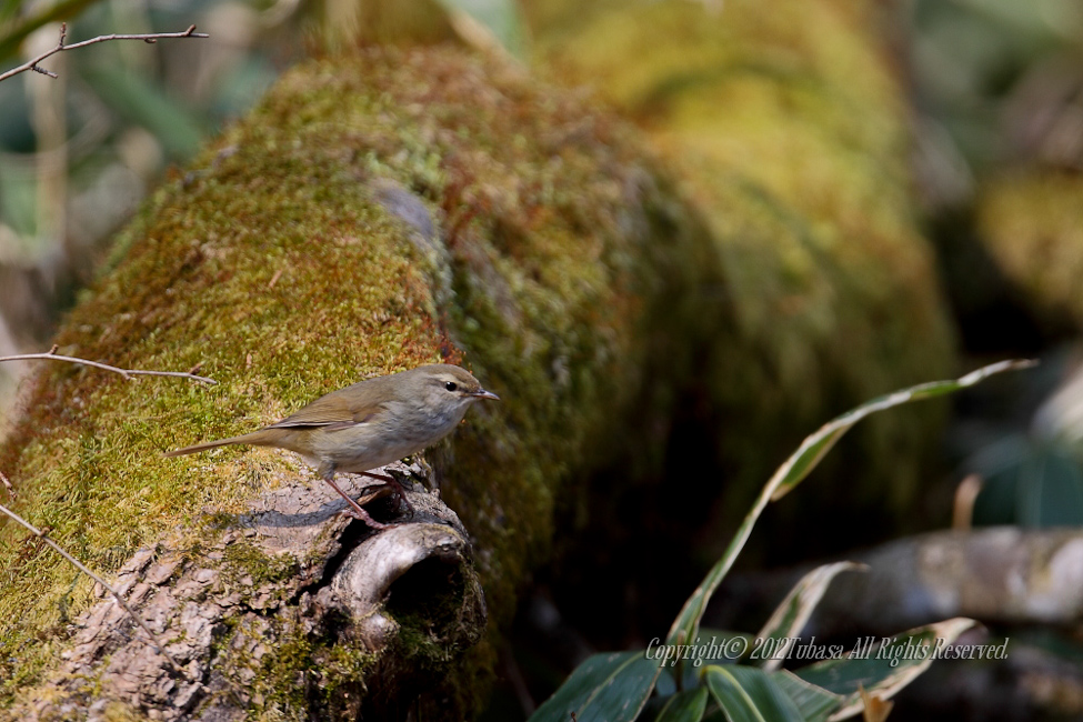 20120506-C56C96512012-04-25-1.jpg